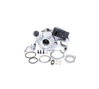 BTS TURBO T981283 Turbocharger