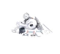 BTS TURBO T981319 Turbocharger