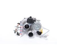 BTS TURBO T981341 Turbocharger