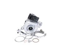 BTS TURBO T981440 Turbocharger