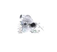 BTS TURBO T981445 Turbocharger
