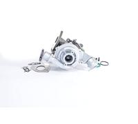 BTS TURBO T981467 Turbocharger