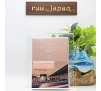 BTS WORLD TOUR LOVE SPEAK YOURSELF JAPAN EDITION Regular Edition DVD New