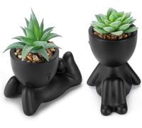 BTSD-home 2 Pack Fake Plants In Black Figure Pots for Desk Office Decor