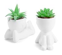 BTSD-home Set of 2 Mini Artificial Succulent Plants Potted Faux Greenery for Home Office Desk Bathroom Decor Indoor(White)