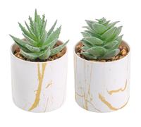 BTSD-home Set of 2 Succulents Plants Artificial Mini Fake Succulents Plants for Home Office Desk Accessories for Women