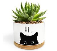 Bttwkco Black Cat Ceramic Pot, Cute Planter Succulent Plant Cactus Flower Porcelain Holder Container Home Office Decoration for Plant Lovers Teacher Friends Coworkers