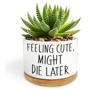 Bttwkco Funny Succulent Pots, Mini Succulent Planter Pots, Cute Planters for Succulents, Small Ceramic Cactus Pot with Drainage Hole, Plant Lover Gifts - Feeling Cute Might Die Later