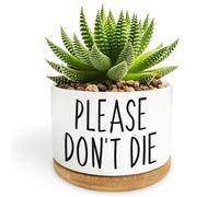 Bttwkco Please Don't Die - Cute White Succulent Pots Home Kitchen Office Decor, Funny Spring Summer Birthday Housewarming Gift Women, Friends, Coworker