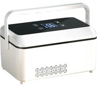 BTURYT Insulin Cooler, Car Refrigerator, Emergency Insulin Cooler, 2-8 ° C Refrigerator, Home Medicine Cooler, Portab