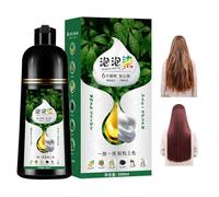 Bubble Hair Dye, 500ml Coloring Shampoo For Gray Hair, Gentle Plant-Based Formula With Easy Application, Home, Salon, Beauty Lovers, Event Preparation, Women, Men, Retail Store Use