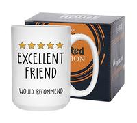 Bubble Hugs Friendship Mug 15 oz, Excellent Friend Would Recommend Funny 5 Stars Bestie Review Sentimental Gift Cup Birthday for Best Friends Sister Siblings, White
