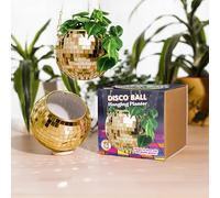 Bubblegum Stuff - Gold Disco Ball Hanging Planter - Indoor Plant Hanger, Gold Chain & Rim, Herb Planter, Boho Decor Plant Pot - 6 inch