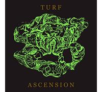 Bubblemath - Turf Ascension