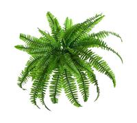 BUBEFSKD Artificial Fern Plant Realistic Plastics Foliage For Garden Balcony Porch Indoor & Outdoor Decoration Artificial Fern Decoration