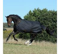 Bucas New Turnout Light