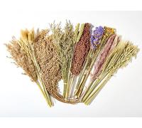 BUCATSTATE 90PCS Natural Hamster Bedding - Flowers & Herbs & Sprays for Cage Habitat Decor