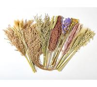 BUCATSTATE 90PCS Natural Hamster Bedding - Flowers & Herbs & Sprays for Cage Habitat Decor - Treat Cereal Grain for Dwarf Syrian Gerbils, Mice, Rat, Forage, Enrichment.