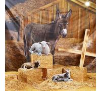 Bucherry 8 Pcs Christmas Nativity Scene Decorations 9 x 6 ft Christmas Manger Scenes Backdrop Nativity Scene Backdrop Banner Hay Bale Boxes Manger Animal Cardboard for Holy Family Christian Photo Prop