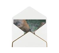 Buck On The Grass Print Horizontal Gold-Edged Pearl Greeting Card W/Envelope-Holiday,Birthday,Anniversary,Party(2pcs)