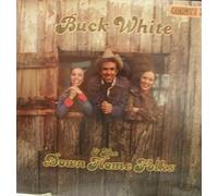 BUCK WHITE & THE DOWN HOME FOLKS - BUCK WHITE - & the down home folks COUNTY 735 (LP vinyl record)