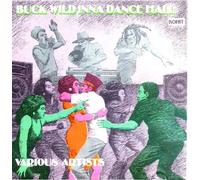 Buck Wild Inna Dancehall - Various