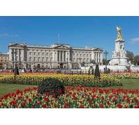 Buckingham Palace & Political Heritage Walking Tour