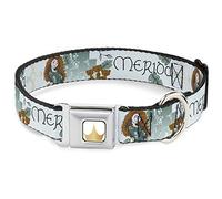 Buckle Dog Collar for Brave Merida Castle and Three Bear Brothers Pose Seatbelt with Writing 11-16.5 Inches Wide