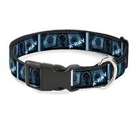 Buckle-Down $1 Bill X-Ray Plastic Clip Collar, 1" x 15-26"/Large