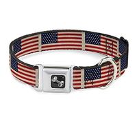 Buckle Down American Eagle Flag Dog Collar Bone