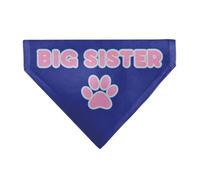 Buckle-Down Big Sister Text and Paw Blues Lavender Slip On Collar Bandana Only