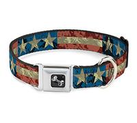 Buckle-Down DC-W30137-WS Seatbelt Dog Collar, Wide Small, Americana Vintage Stars & Stripes