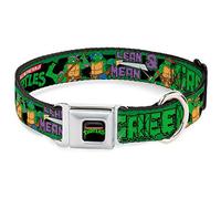 Buckle Down DC-WNT030-S 9-15" "NTA-Classic TMNT Logo Full Color Dog Collar, Small