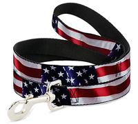 Buckle Down DL-6FT-W30158 American Flag Vivid Close-Up Dog Leash, 6'