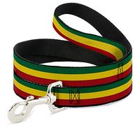 Buckle Down DL-W21802-N Narrow 0.5" Rasta Dog Leash, 4'