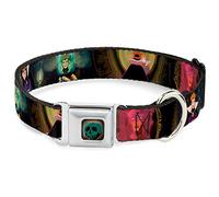 Buckle-Down Dog Collar DYAZ-Poisoned Apple Full Color - Snow White Evil Queen Poses - Small 9-15"