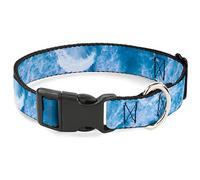 Buckle-Down Dog Collar Plastic Clip Ocean Vivid White Wash 9 to 15 Inches 1.0 Inch Wide
