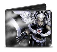 Buckle-Down Mens Pu Bifold - X-Men Storm Pose/Rain Black/Grays Bi Fold Wallet, Multicolor, 4.0 x 3.5 US, Multicolor