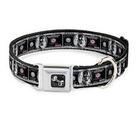 Buckle-Down Pet Collar, Dog Collar Metal Seatbelt Buckle, 100 Dollar Bill X Ray Black White, 15 to 24 Inches 1.0 Inch Wide