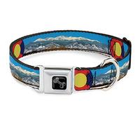 Buckle-Down Pet Collar, Dog Collar Metal Seatbelt Buckle, Colorado Mount Evans Vivid Landscape Colorado Flag Icon, 11 to 16.5 Inches 1.0 Inch Wide