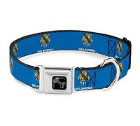 Buckle-Down Pet Collar, Dog Collar Metal Seatbelt Buckle, Oklahoma State Flag Sky Blue White, 16 to 23 Inches 1.5 Inch Wide