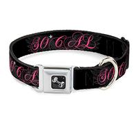 Buckle-Down Pet Collar, Dog Collar Metal Seatbelt Buckle, So Cal Script Wings Black Gray Pink, 11 to 16.5 Inches 1.0 Inch Wide