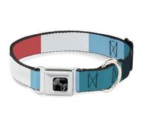 Buckle-Down Pet Collar, Dog Collar Metal Seatbelt Buckle, Summer Essentials Color Block 4, 11 to 16.5 Inches 1.0 Inch Wide
