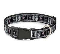 Buckle-Down Pet Collar, Dog Collar Plastic Buckle, 100 Dollar Bill X Ray Black White, 15 to 24 Inches 1.0 Inch Wide