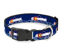 Buckle-Down Pet Collar, Dog Collar Plastic Buckle, Colorado Trout Flag Blue White Red Yellow, 20 to 31 Inches 1.5 Inch Wide