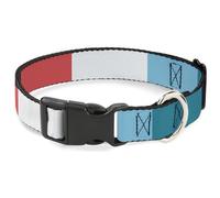 Buckle-Down Pet Collar, Dog Collar Plastic Buckle, Summer Essentials Color Block 4, 20 to 31 Inches 1.5 Inch Wide
