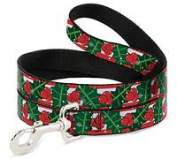 Buckle-Down Pet Leash, Dog Leash, Snowy Holly Stripe Reds White Greens, 6 Feet Long 1.5 Inch Wide