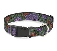 Buckle-Down Plastic Clip Collar - Succulents Stacked Green/Pink/Orange - 1" Wide - Fits 11-17" Neck - Medium
