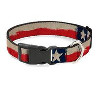 Buckle-Down Plastic Clip Collar - Texas Flag CLOSE-UP Distressed Painting - 1" Wide - Fits 11-17" Neck - Medium