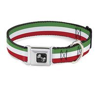 Buckle-Down Seatbelt Buckle Dog Collar - Stripes Green/White/Red - 1" Wide - Fits 9-15" Neck - Small